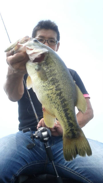2013_06_25.rf.001.jpg