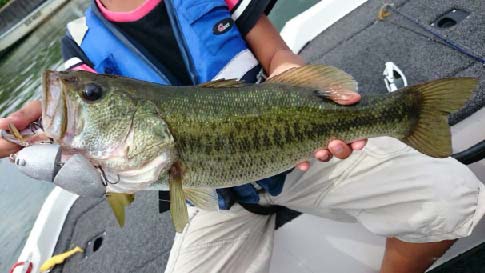 2014_08_22.51cm.jpg