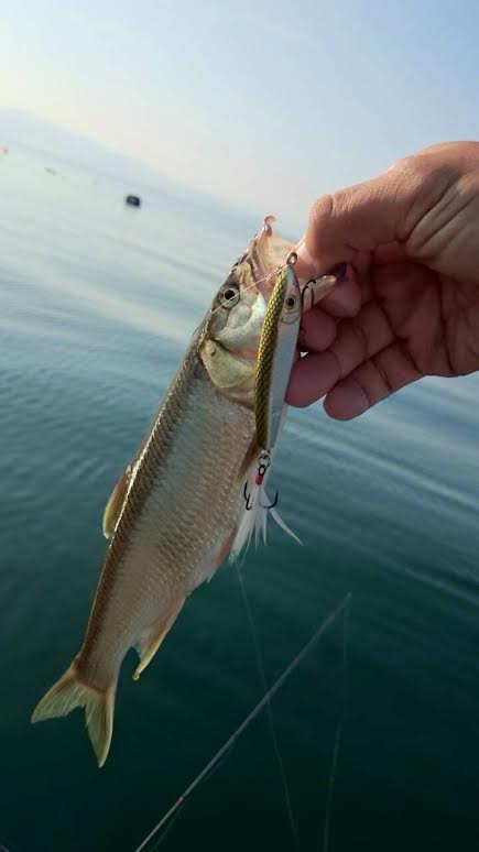 2014_09_16.qb.002.jpg