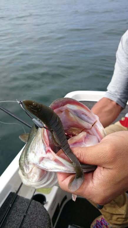 2014_10_01.002.jpg